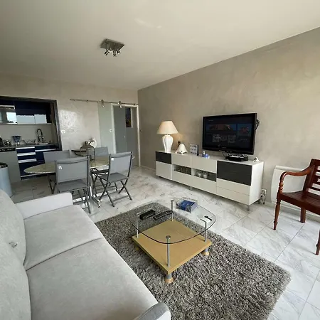Apartament Confort Moderne : Beau T2 Avec Balcon, Acces Direct Plage, Wifi - St Jean De Monts - Fr-1-224c-322 *